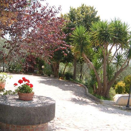 L'Uliveto Villa Montebuono  ภายนอก รูปภาพ