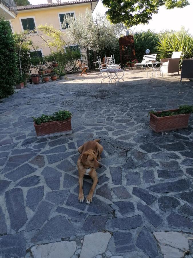 L'Uliveto Villa Montebuono  ภายนอก รูปภาพ