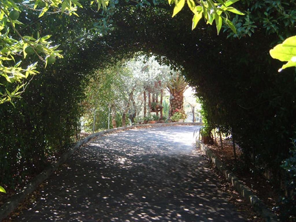 L'Uliveto Villa Montebuono  ภายนอก รูปภาพ